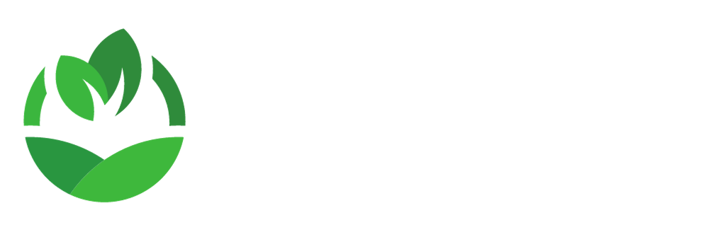 Souzy environnement logo allongé vert et blanc